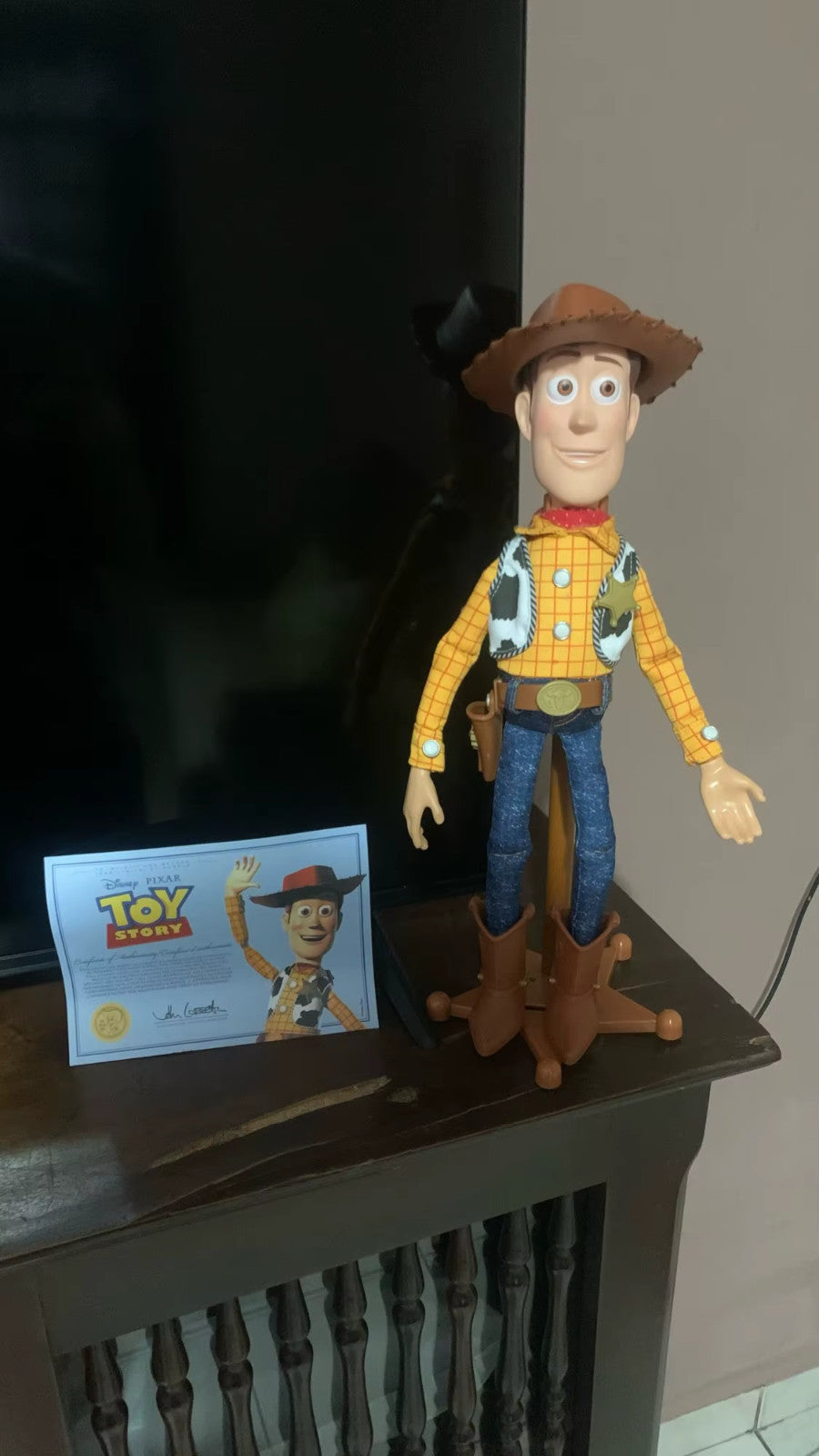 🤠 Woody – Toy Story 3 | Action Figure da Collezione di Alta Qualità CON SCATOLA