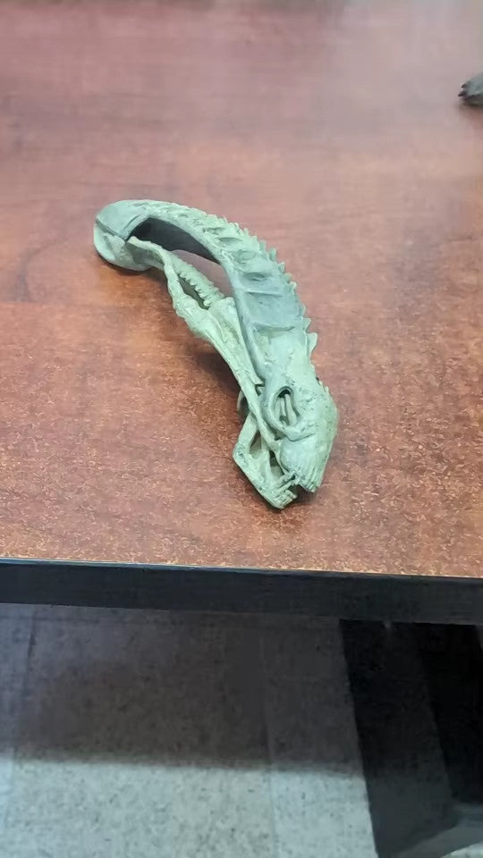 NECA Alien VS Predator ✅confezione da 2 action figure PVC 20CM+SCATOLA ORGINALE