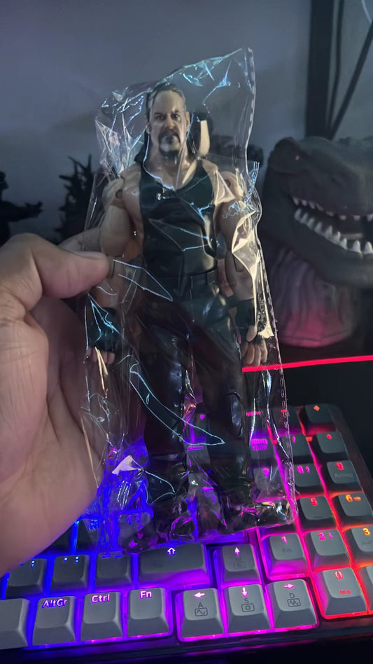 WWE ACTION FIGURE 18CM Wrestling THE ROCK,JHON CENA,TRIPLE H,UNDERTAKER