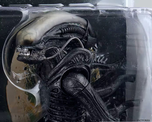 NECA Classic 1979 Alien PVC Action Figure da collezione 18 Cm CON SCATOLA